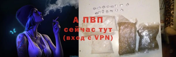 ГАЛЛЮЦИНОГЕННЫЕ ГРИБЫ Шарыпово